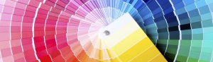 Close-up view of a color chart used for paint selection